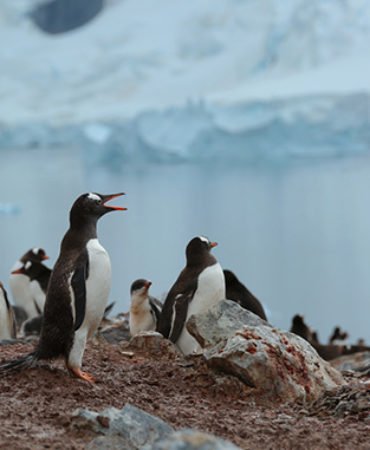 10 trending International destinations this summer