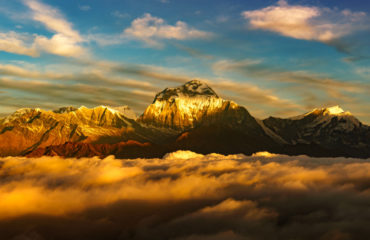 Dhaulagiri at Sunrise from Poonhill, Nepal_460723066