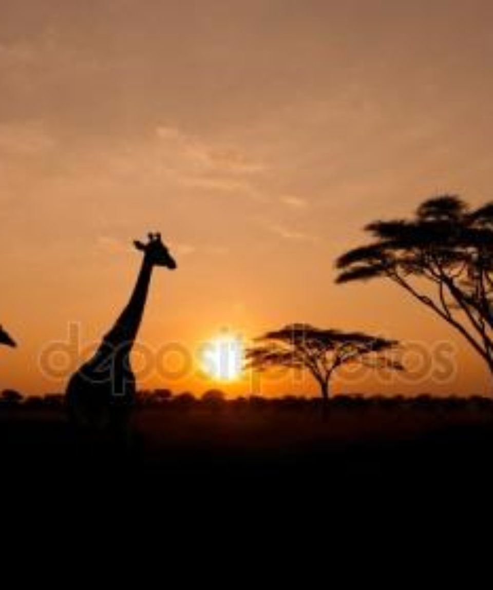 depositphotos_14975765-stock-photo-setting-sun-with-silhouettes-of (1)
