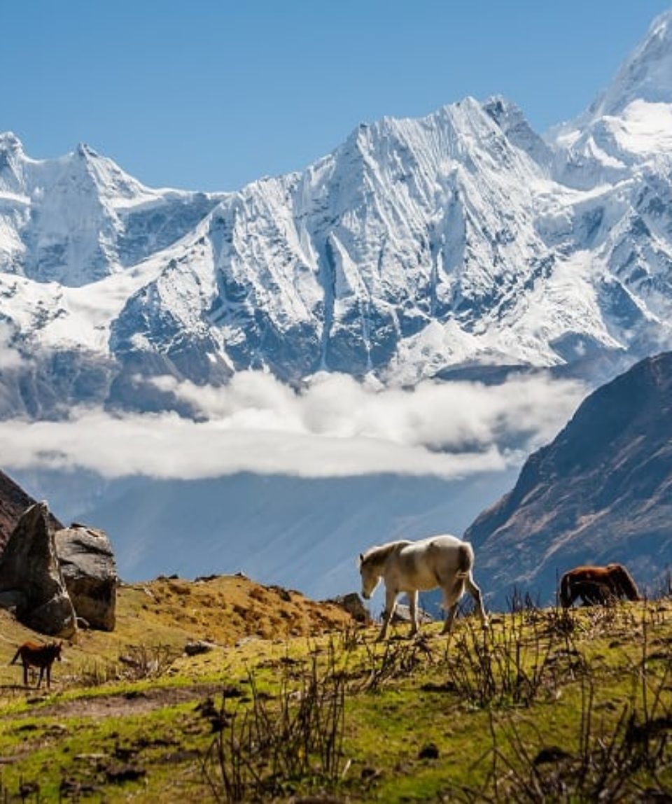 Manaslu-Circuit-Trek-Nepal